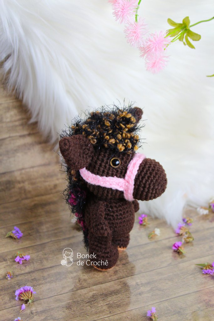Pony always says that adventures should be lived together with friends. That's why this smart little horse is looking for new adventures companions.